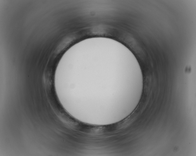 X0000091970116200709271415