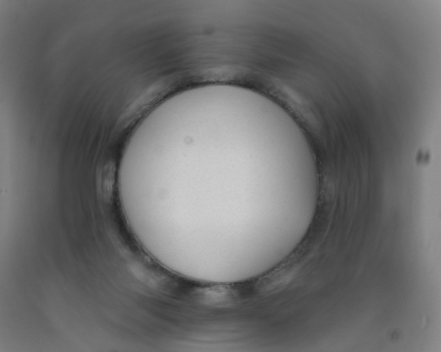 X0000091970118200709271415