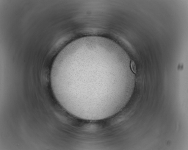 X0000091970119200709271415