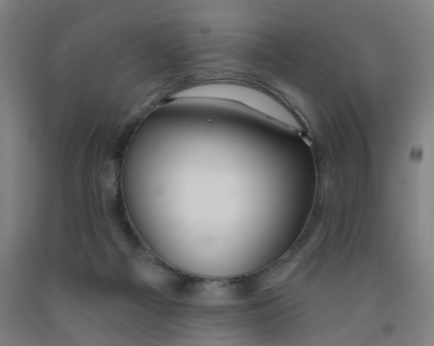 X0000091970121200709271415