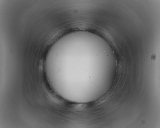 X0000091970122200709271415