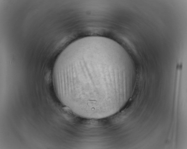 X0000091970123200709271415