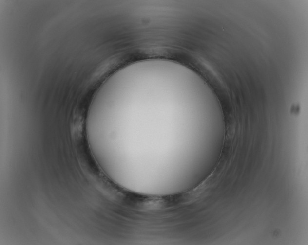X0000091970124200709271415