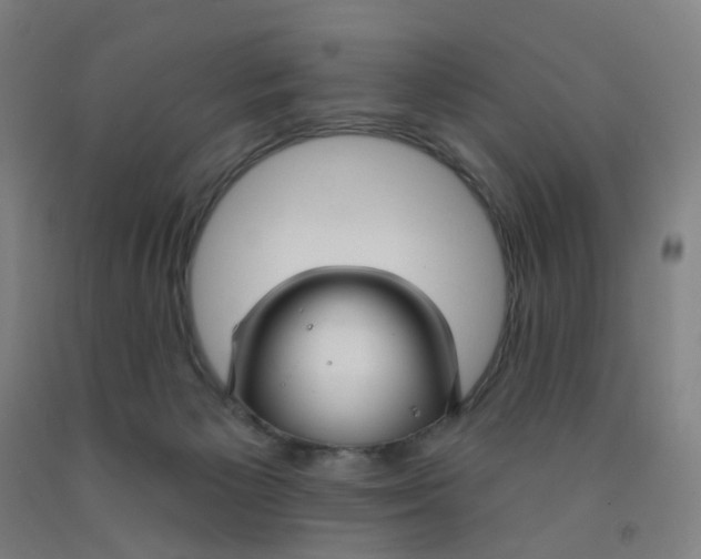 X0000091970125200709271415