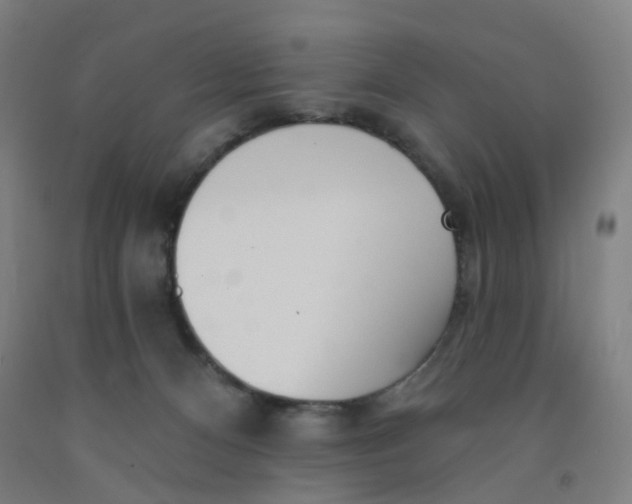 X0000091970128200709271415