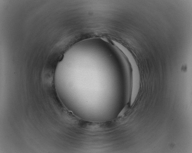X0000091970129200709271415