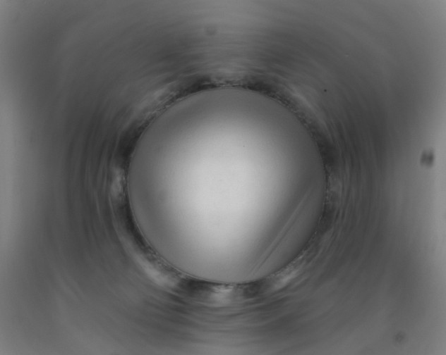 X0000091970130200709271414