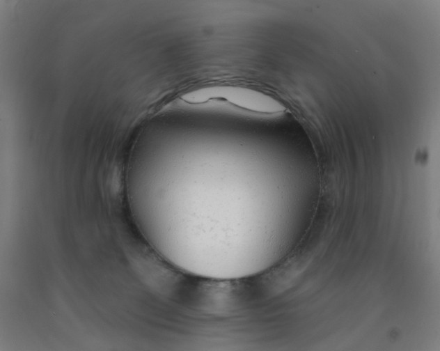 X0000091970131200709271414