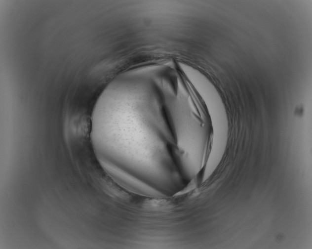 X0000091970137200709271414