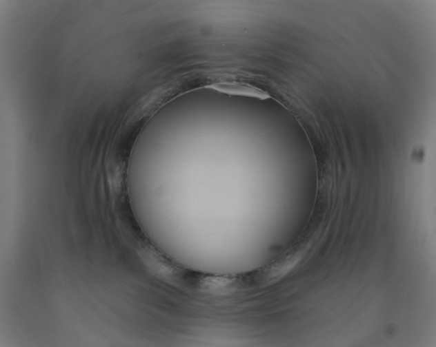 X0000091970139200709271414