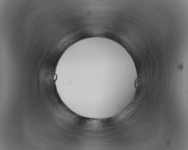 X0000091970140200709271414