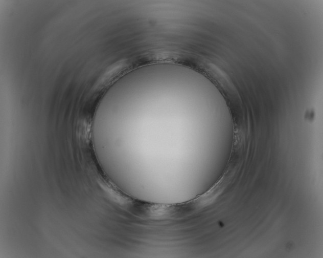 X0000091970142200709271414