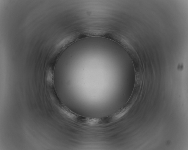 X0000091970143200709271414
