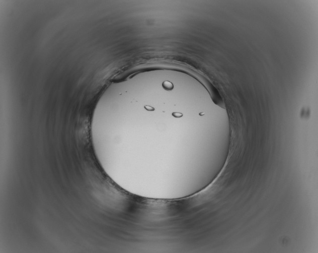 X0000091970144200709271414
