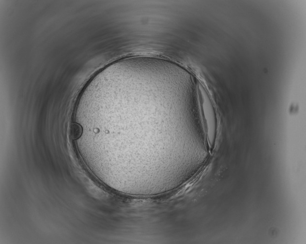 X0000091970145200709271414