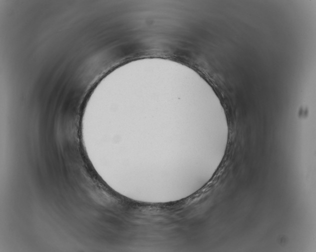 X0000091970146200709271414
