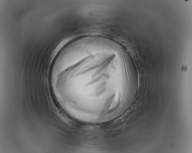 X0000091970147200709271414