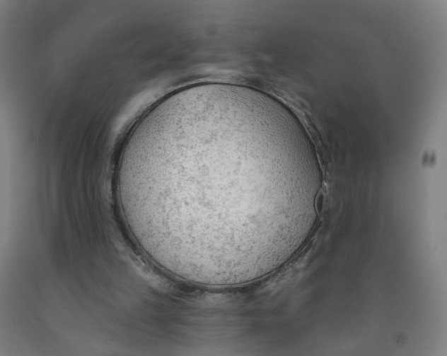 X0000091970149200709271414