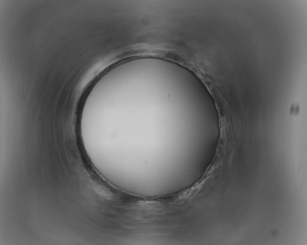 X0000091970150200709271414