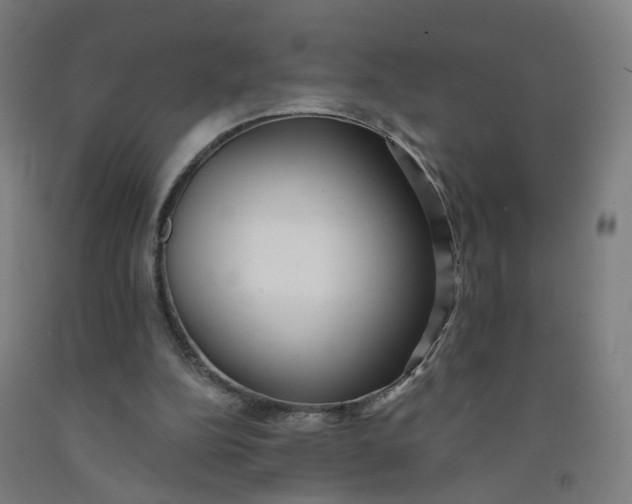 X0000091970152200709271414