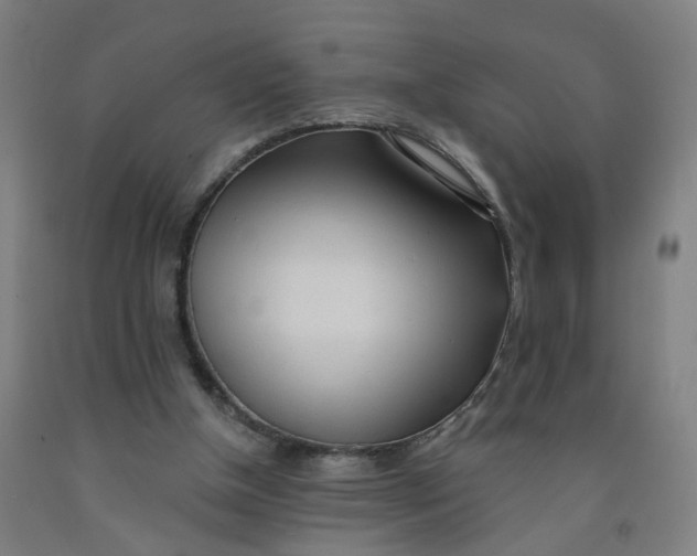 X0000091970154200709271414