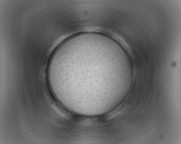 X0000091970155200709271414