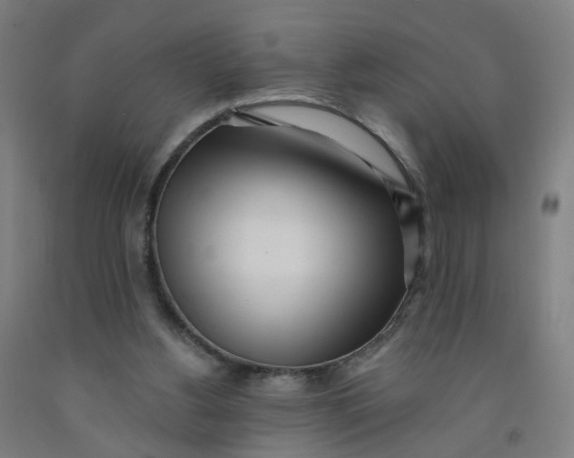 X0000091970156200709271414
