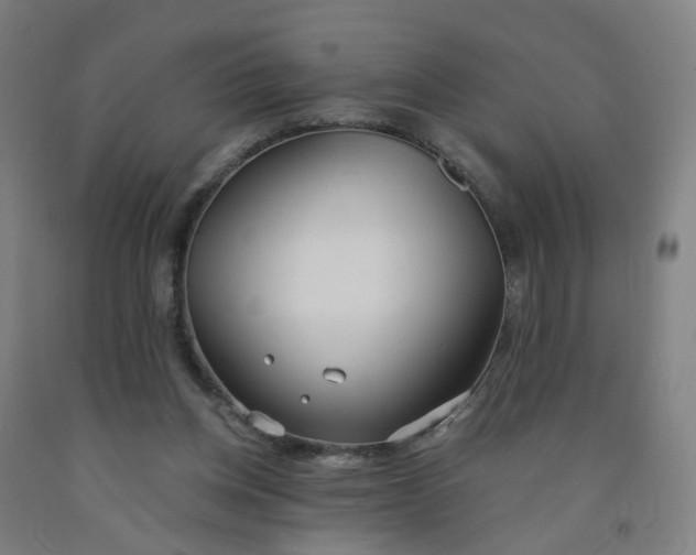 X0000091970158200709271414