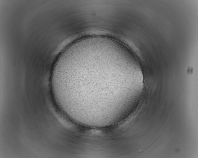 X0000091970159200709271414