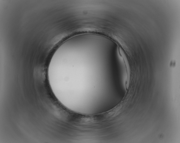 X0000091970160200709271414