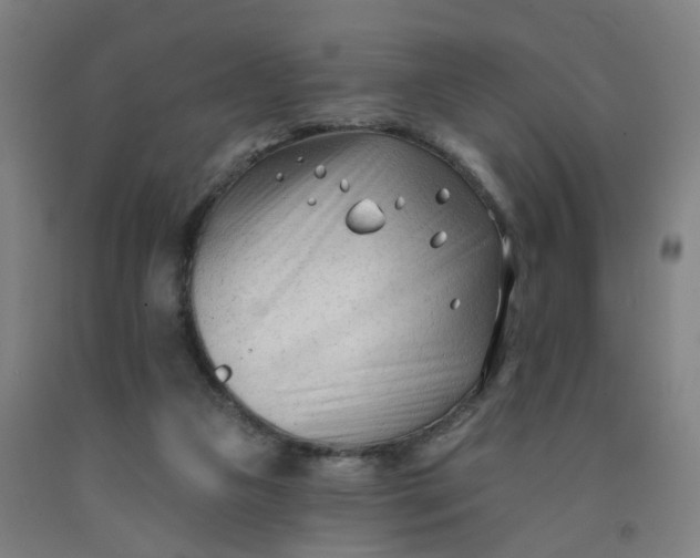 X0000091970161200709271414
