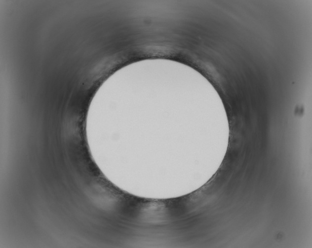 X0000091970162200709271414