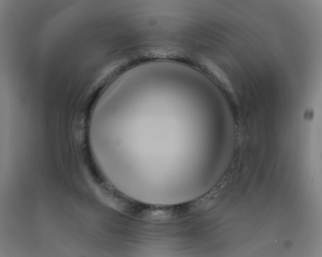 X0000091970163200709271414