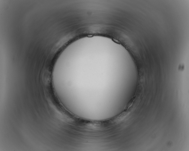 X0000091970164200709271414