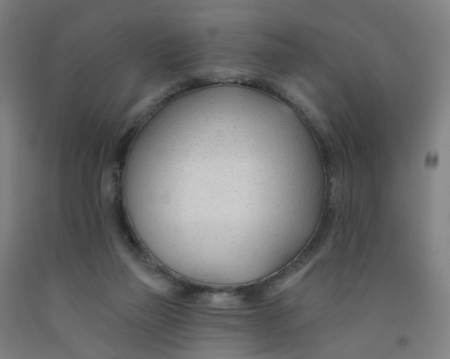 X0000091970165200709271414