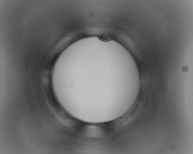 X0000091970167200709271414