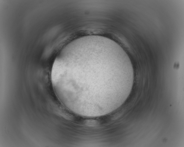 X0000091970169200709271414