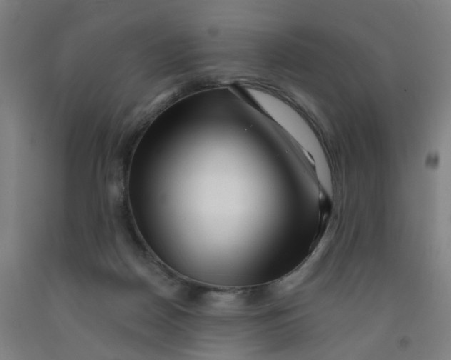 X0000091970170200709271414