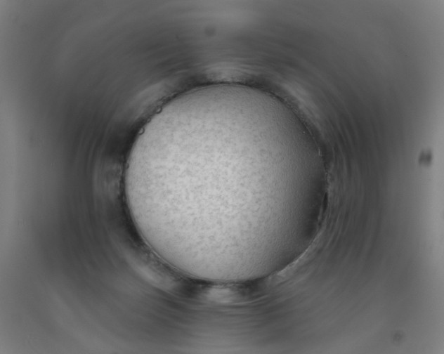 X0000091970171200709271414