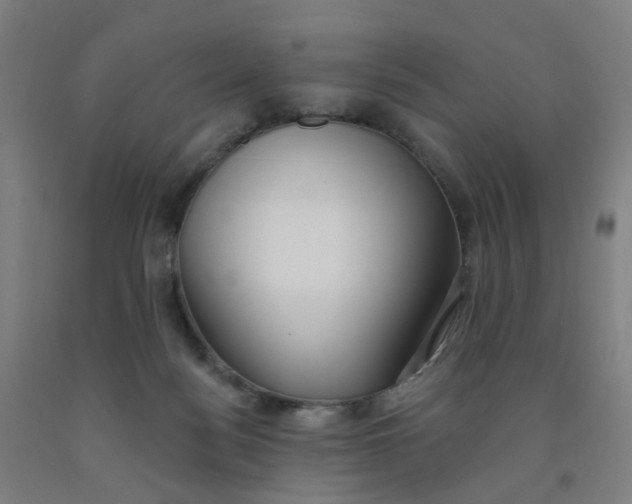 X0000091970172200709271414