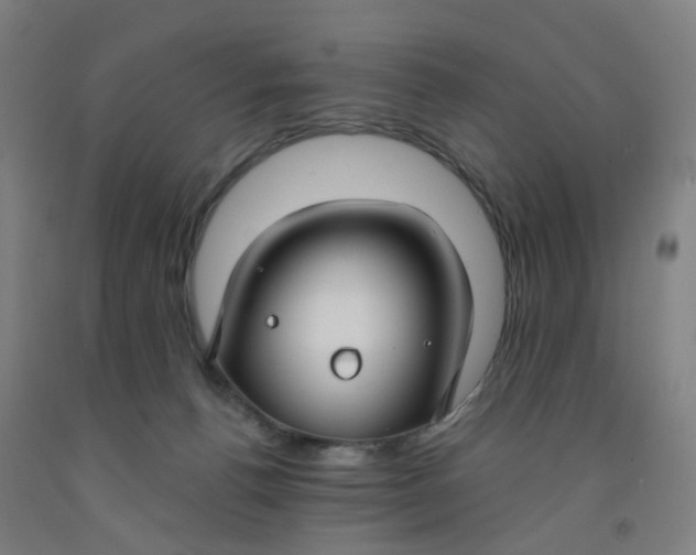 X0000091970176200709271414