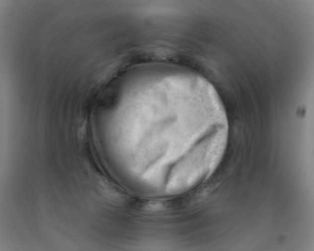 X0000091970177200709271414