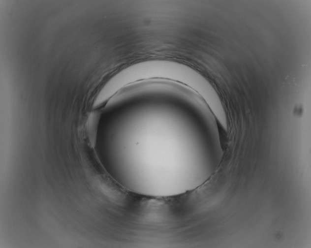 X0000091970180200709271414