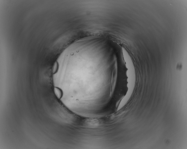 X0000091970181200709271414