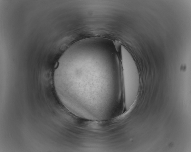 X0000091970182200709271414