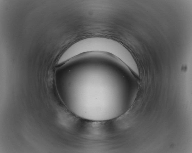 X0000091970184200709271414
