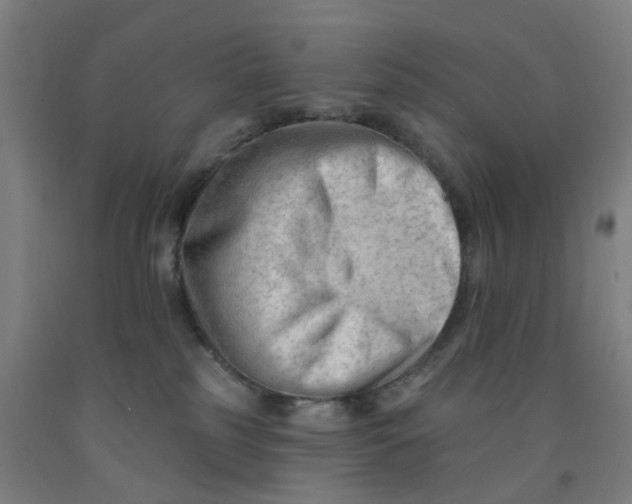 X0000091970185200709271414