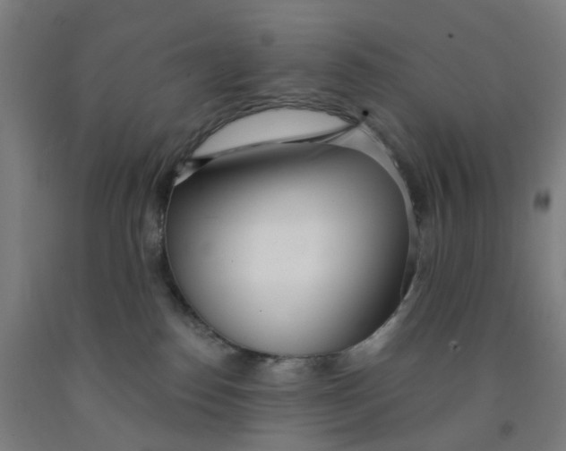 X0000091970186200709271414