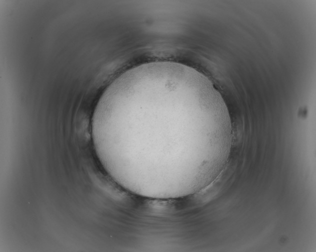 X0000091970187200709271414