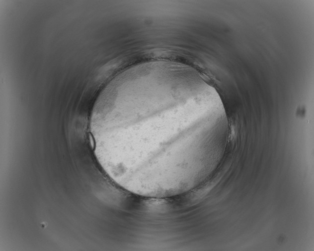 X0000091970189200709271414